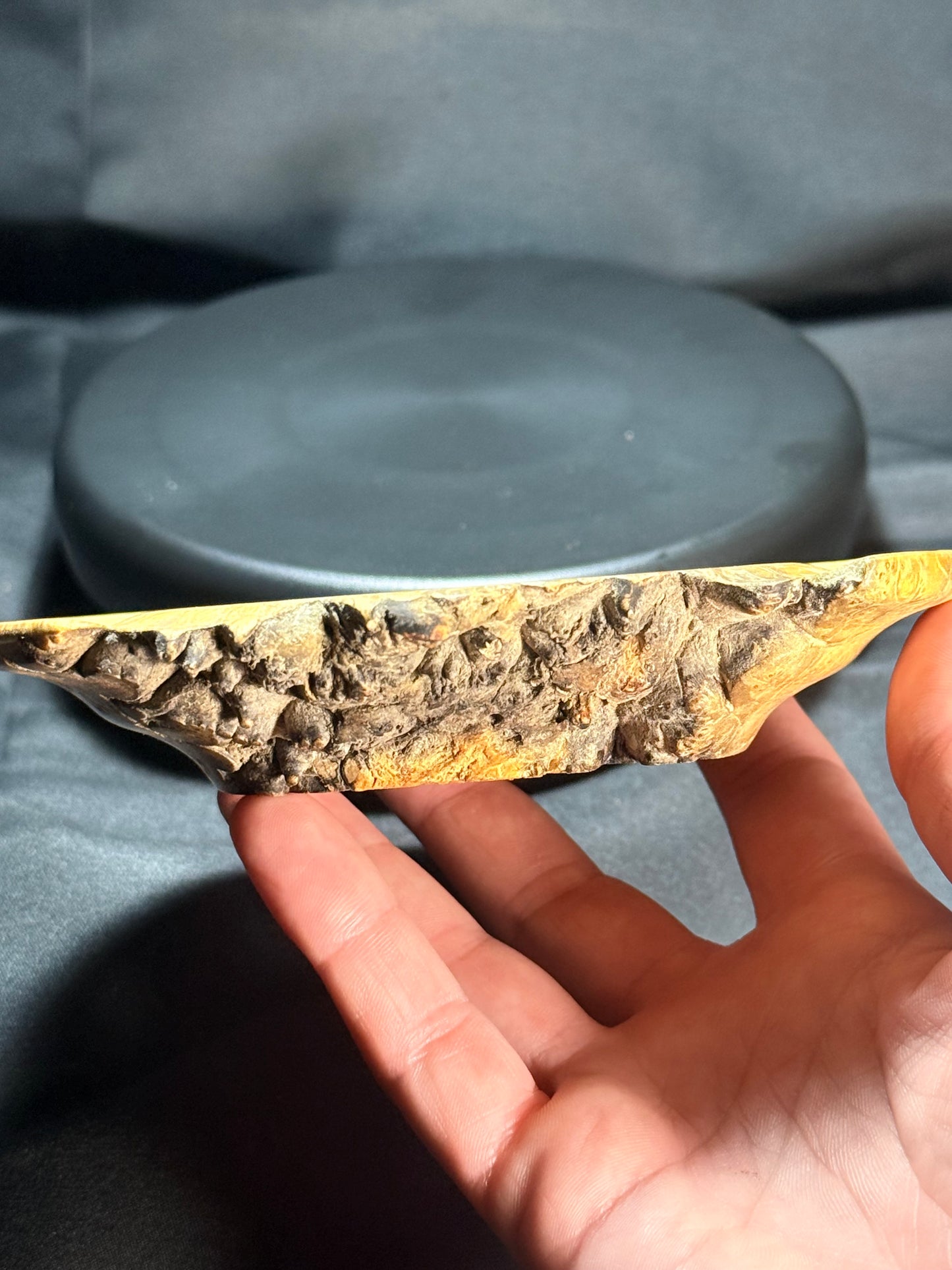 5” Flaming Box Elder Burl platter