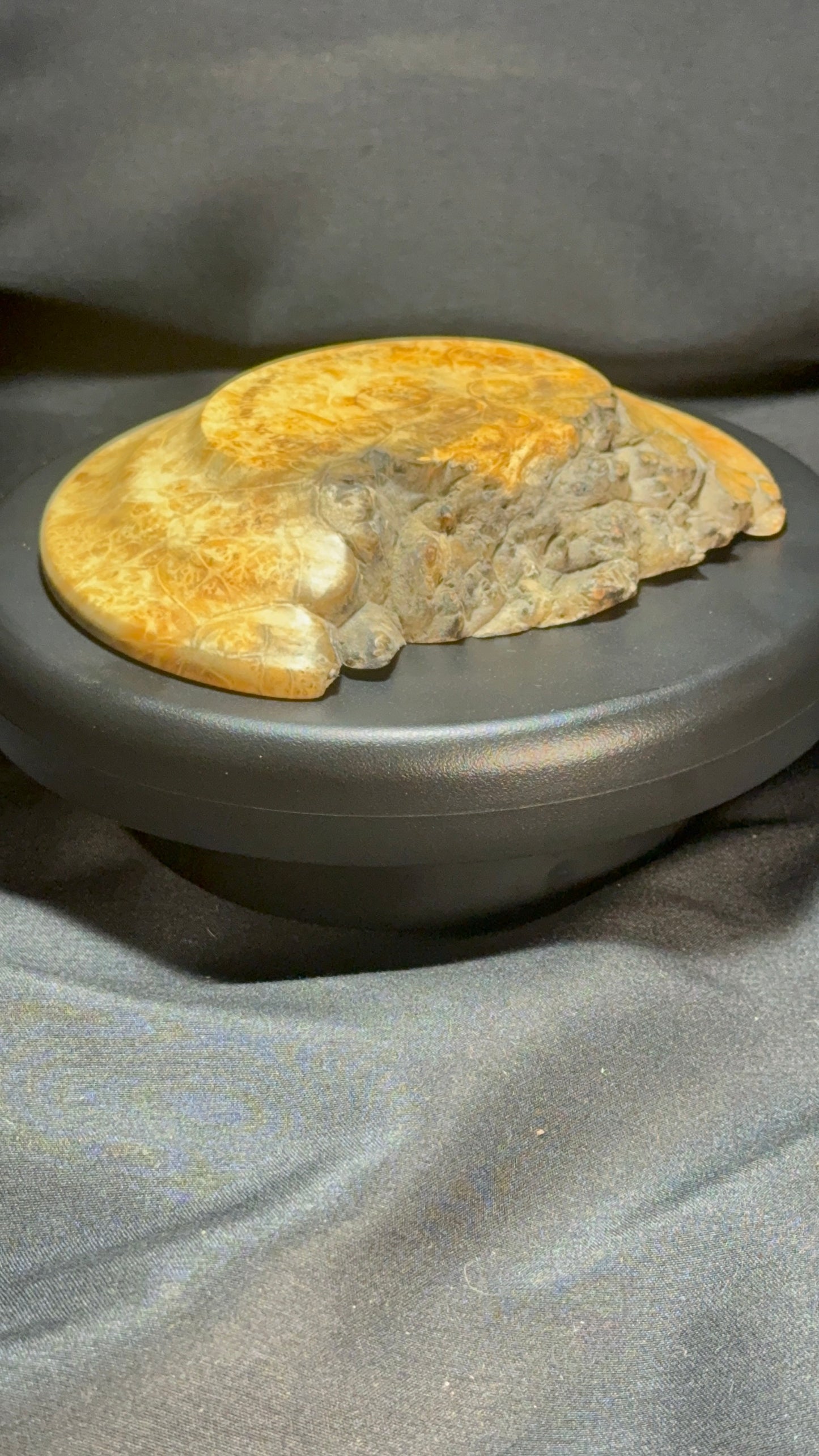 5” Flaming Box Elder Burl platter