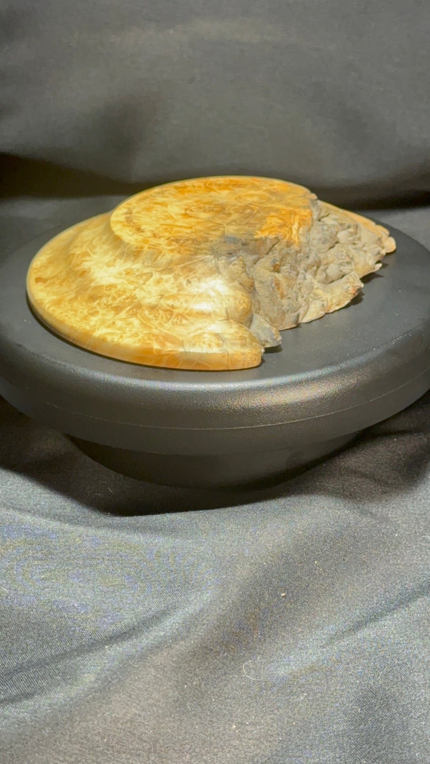 5” Flaming Box Elder Burl platter
